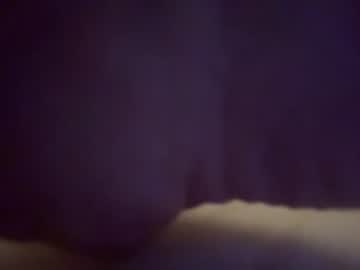  liittlebee