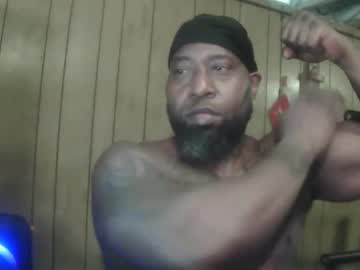 bussitdown 313