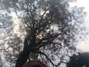 cristinstephens