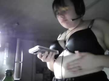 kingdomkatzel