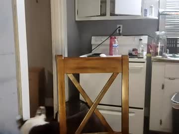 kittytittyfuck