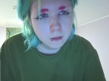 littlekittensta