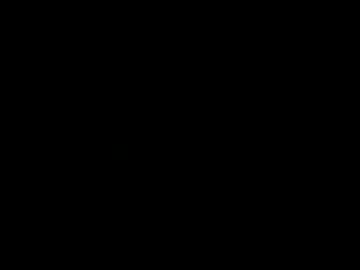 mandaraujo2008
