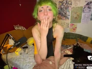 pippapawz