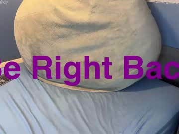 purplestmonkey
