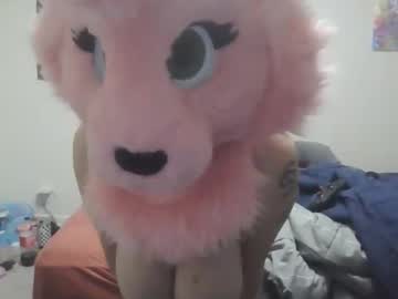 squeakerkitty96