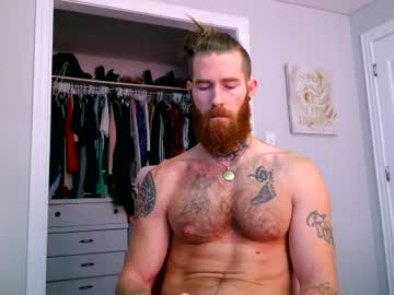 viking ink alph
